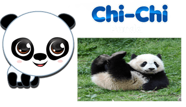 EnviroPop Chichi Panda